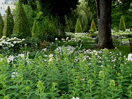 Le jardin blanc d'Apremont sur Allier Le jardin blanc d'Apremont sur Allier