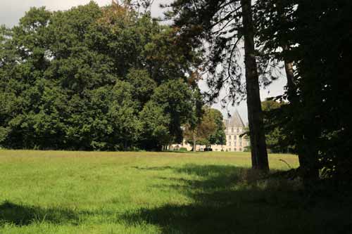 Les jardins du château d'Azay le Ferron