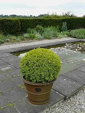 The Bay Garden
