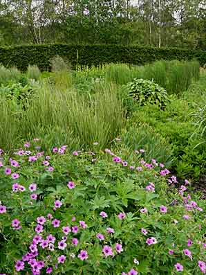 The Bay Garden