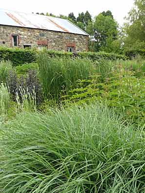 The Bay Garden