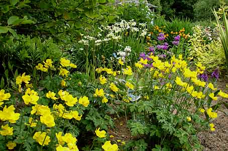 The Bay Garden