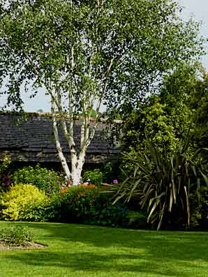 The Bay Garden