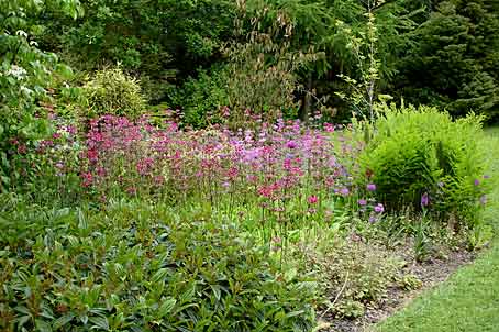The Bay Garden