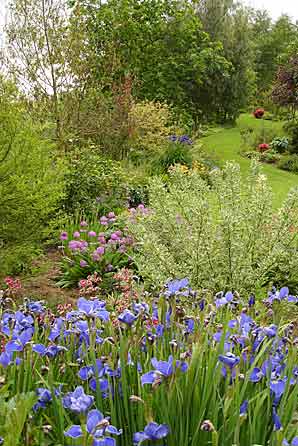 The Bay Garden