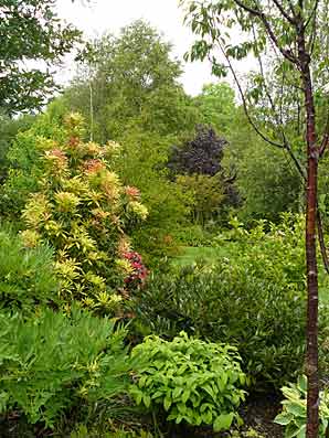 The Bay Garden