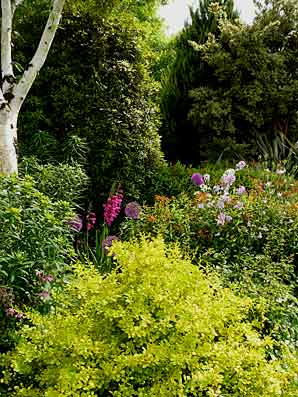 The Bay Garden