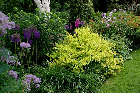 The Bay Garden