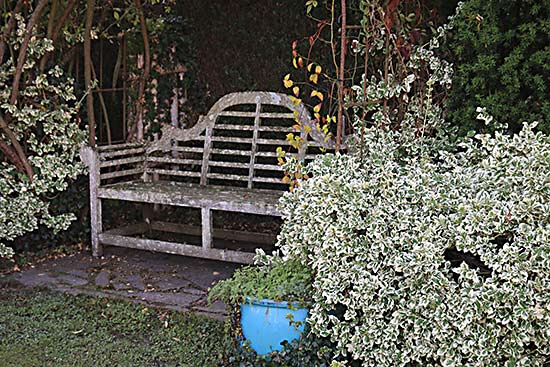 jardin de Camille jardin de Camille