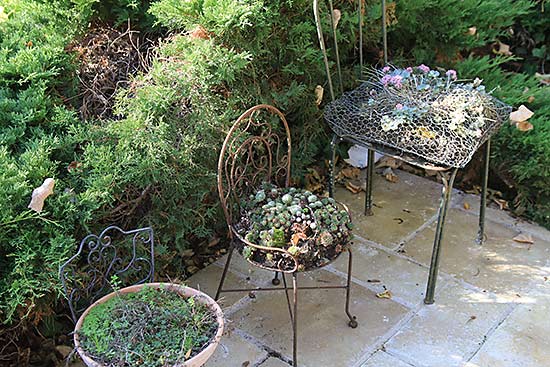 jardin de Camille jardin de Camille