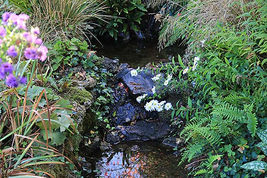 jardin de Camille jardin de Camille