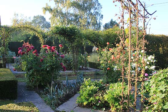 jardin de Camille jardin de Camille