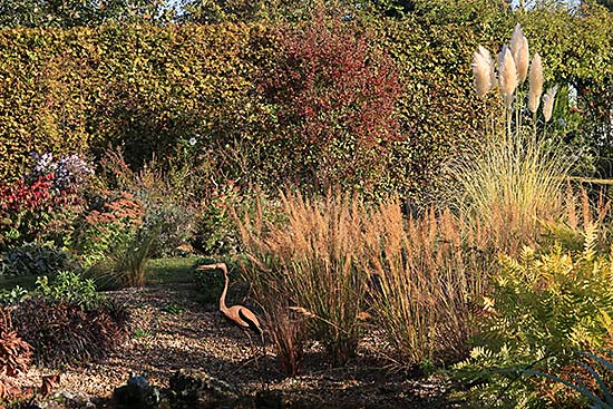 jardin de Camille jardin de Camille