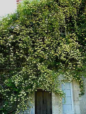 Le logis de Chaligny 