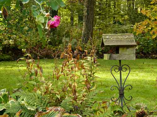 Le jardin des dentelles Le jardin des dentelles