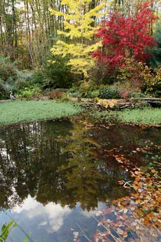 Le jardin des dentelles Le jardin des dentelles