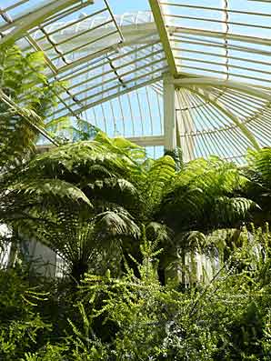 Jardins botaniques de Glasnevin (les serres)