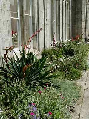 Kilruddery (le jardin de rocaille au pied du manoir)