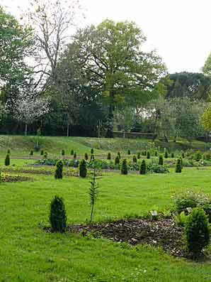 Jardin du prieuré Saint-Pierre-de-Réaumur