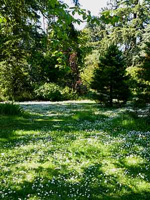 Mount Stewart
