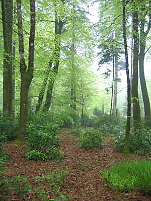 Le Parc de Trévarez